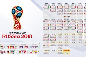 新手入门指南：bsports必一网页版